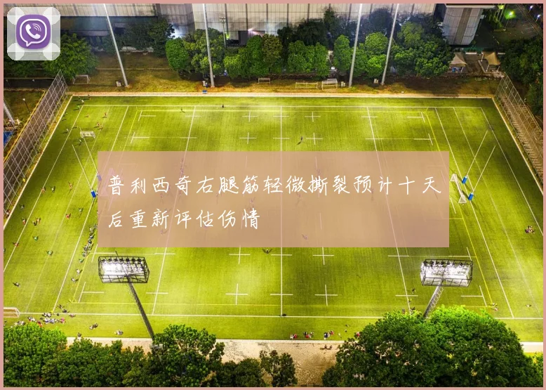 普利西奇右腿筋轻微撕裂预计十天后重新评估伤情