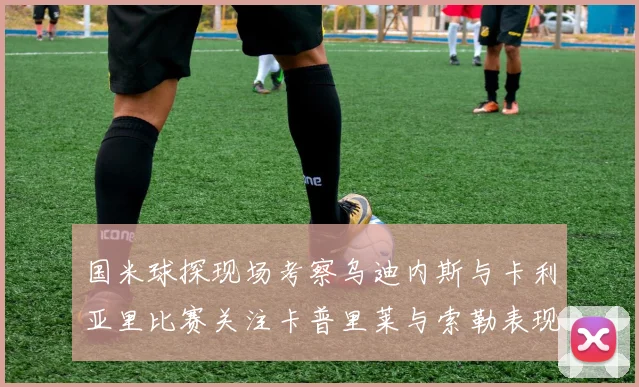 国米球探现场考察乌迪内斯与卡利亚里比赛关注卡普里莱与索勒表现