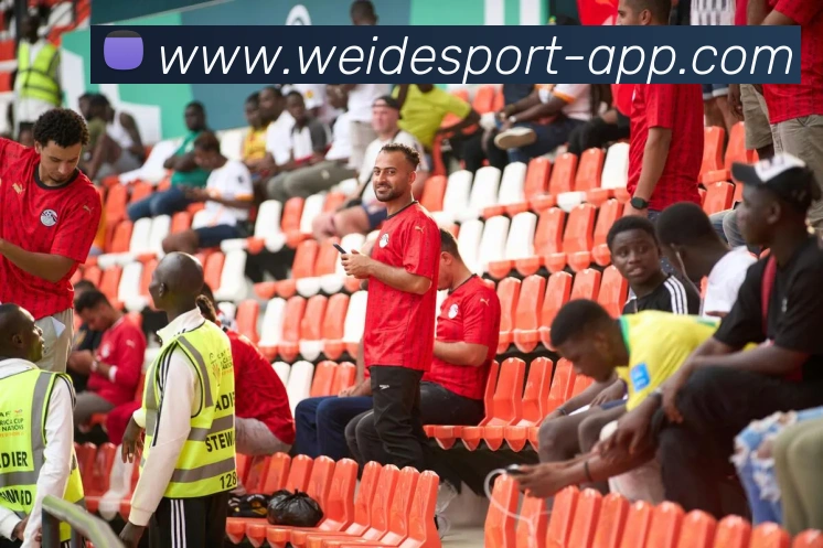 多媒体互动体验